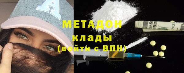 прущие грибы Алзамай